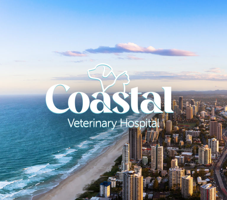 Coastal Vet