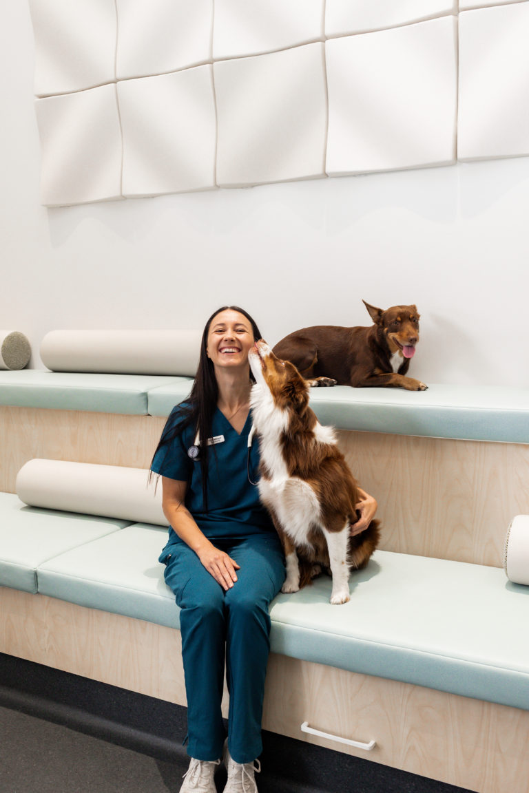 Dr Kathryn Owen