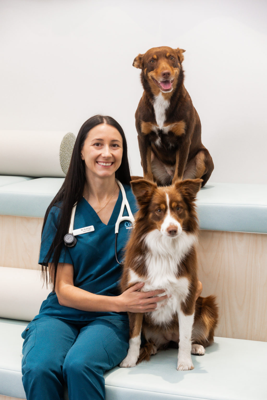Dr Kathryn Owen