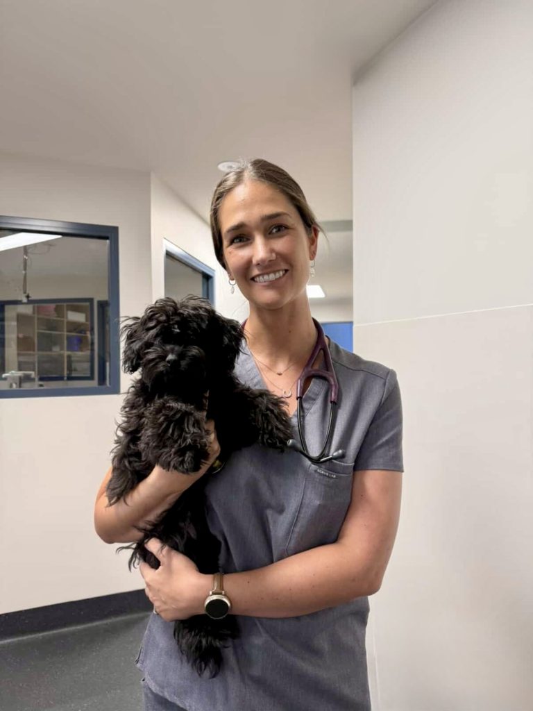 Dr Katie